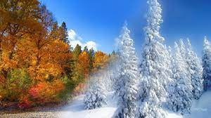 Fall & Winter